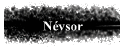 Nvsor