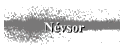 Nvsor